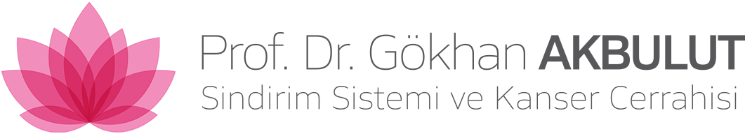 Prof. Dr. Gökhan Akbulut, FEBS