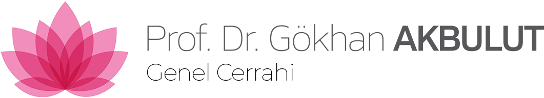 Prof. Dr. Gökhan Akbulut, FEBS